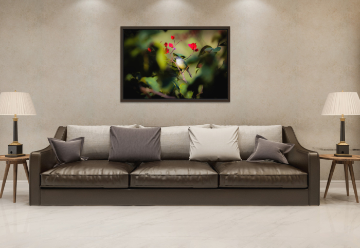 ALEGRINHO CANVAS - Image 2