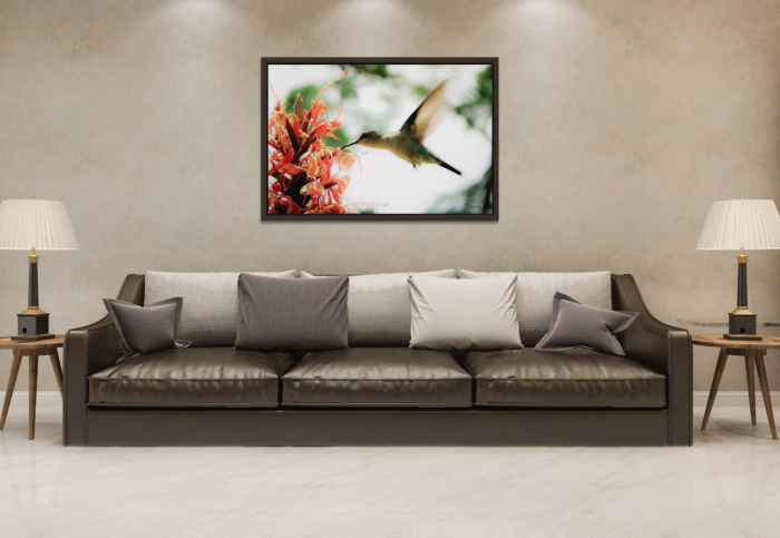 VOO DO BEIJA-FLOR CANVAS - Image 2