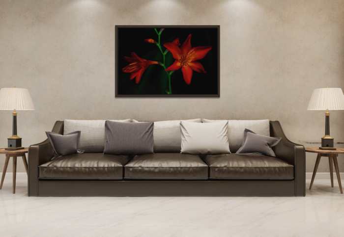 BELEZAS DA MATA CANVAS - Image 2