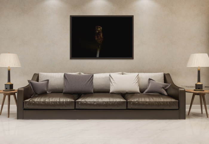 CORUJA CANVAS - Image 2
