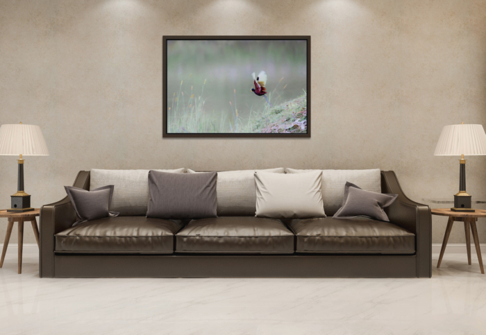 JAÇANÃ CANVAS - Image 2